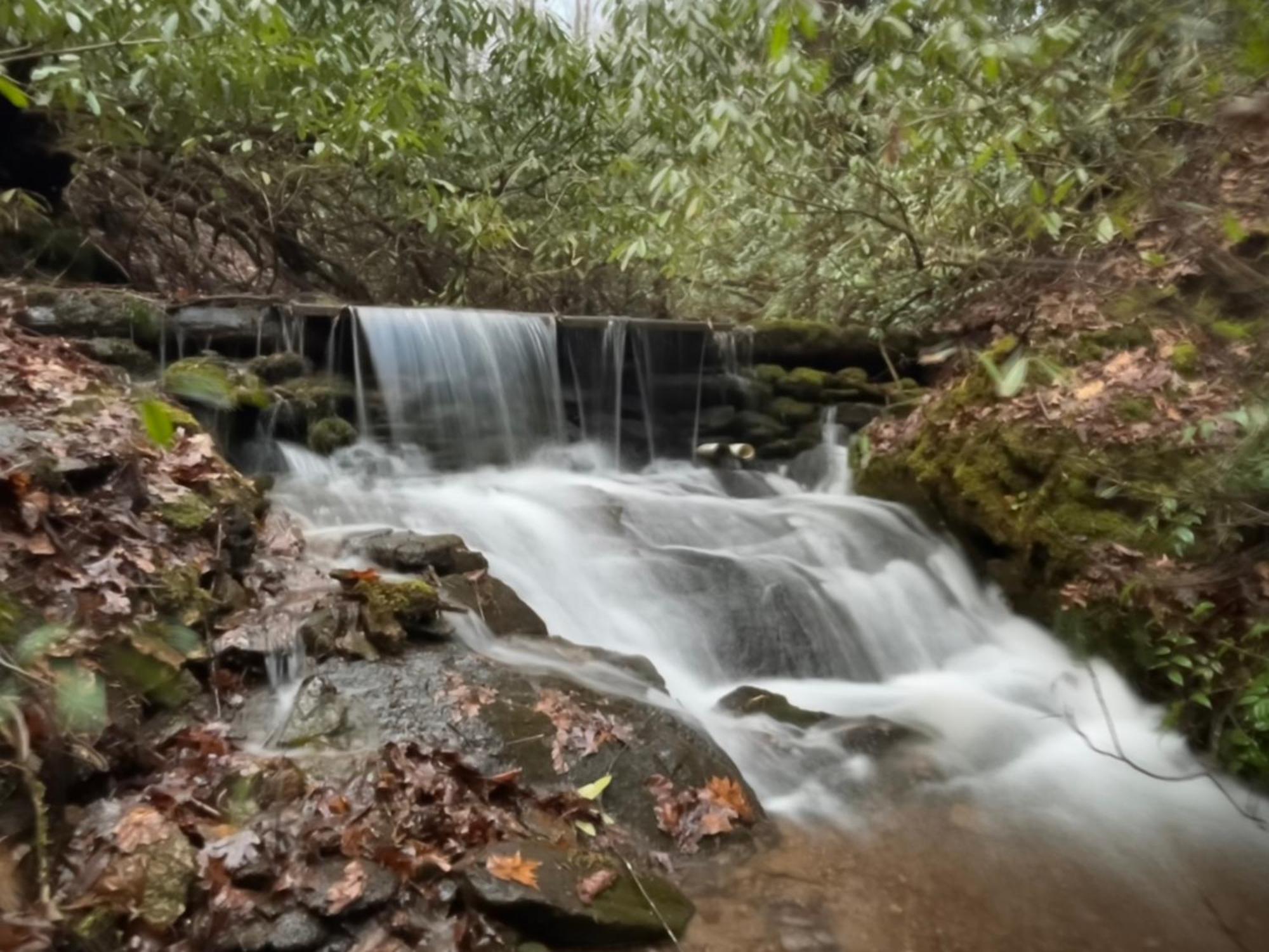 Meraki Escape Villa Brevard Bagian luar foto